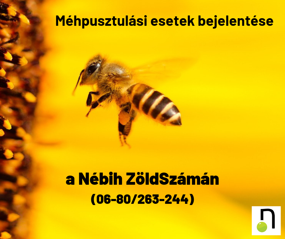 Méhészeti támogatások - - | SZILBERHORN Pályázati Iroda